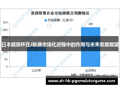 日本超级杯在J联赛市场化进程中的作用与未来发展展望