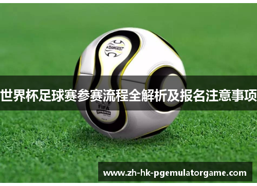 世界杯足球赛参赛流程全解析及报名注意事项