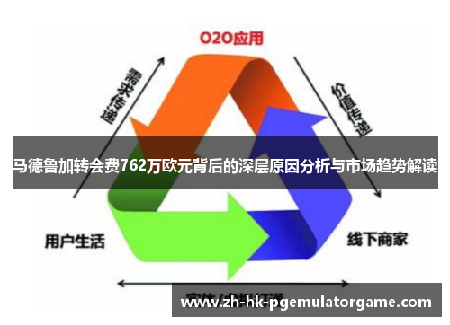 马德鲁加转会费762万欧元背后的深层原因分析与市场趋势解读