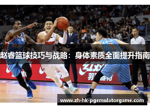 赵睿篮球技巧与战略：身体素质全面提升指南