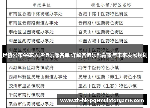 足协公布44家入选俱乐部名单 详解各俱乐部背景与未来发展规划 足协公布44家入选俱乐部名单 详解各俱乐部背景与未来发展规划