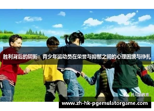 胜利背后的阴影：青少年运动员在荣誉与抑郁之间的心理困境与挣扎